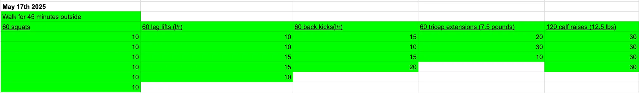 May 17th, 2025. Exercise Log.